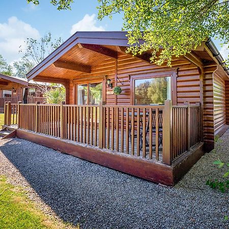 Fingle Glen Lodges Whitestone Exterior foto